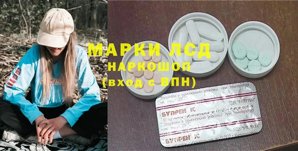 амф Вяземский