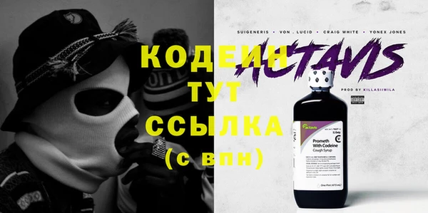амф Вяземский