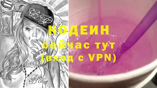 амф Вяземский
