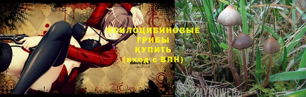 прущая мука Вязники
