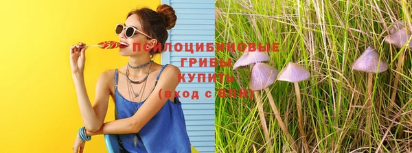 амф Вяземский