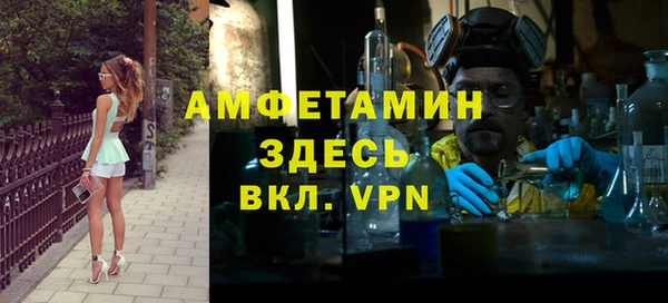 гашик Сосновка