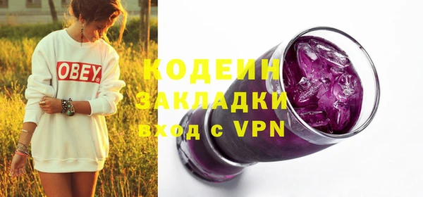 амф Вяземский