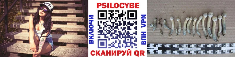 цены наркотик  kraken вход  Псилоцибиновые грибы Psilocybine cubensis  Железногорск 