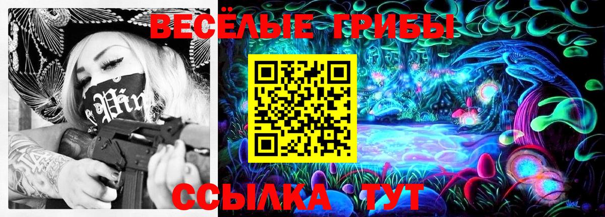 Галлюциногенные грибы GOLDEN TEACHER Железногорск