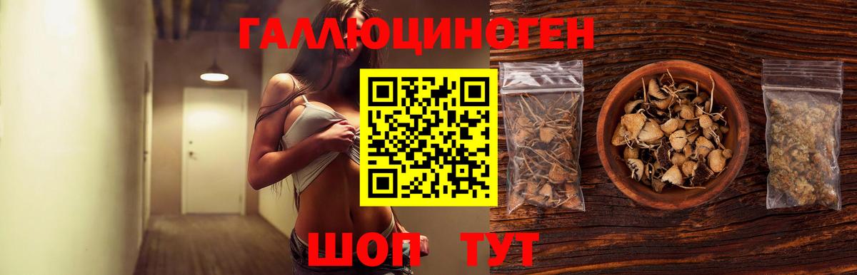 Псилоцибиновые грибы Psilocybine cubensis  Галлюциногенные грибы Psilocybe  Вход с VPN  Железногорск 