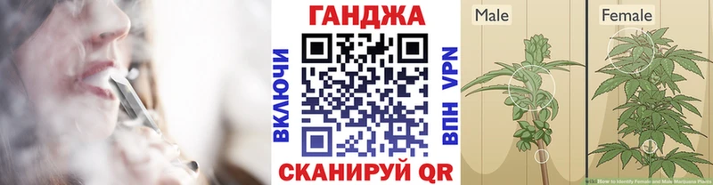 купить наркотик Железногорск блэк спрут вход Конопля Ganja